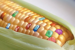 Non-GMO2