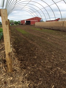 Hog Hoop House