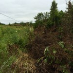 fenceclearing