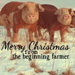 beginningfarmerchristmas