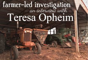 teresainterview
