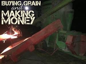 grinding pig feed