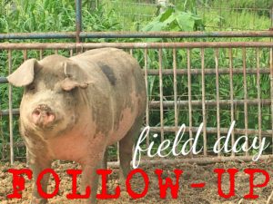 fielddayfollowup