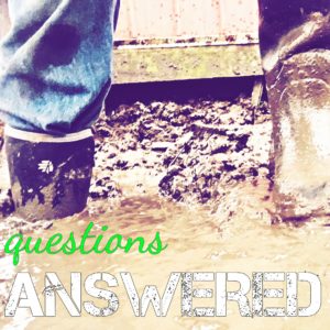 questions