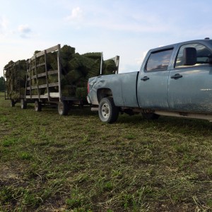 haybales